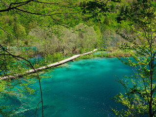 Die Plitvicer Seen in Kroatien / Nationalpark