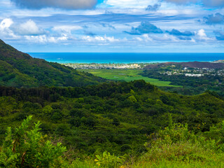 Fototapeta premium View from hawaiian mountains tropical