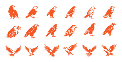 Set of eagle, collection of hawk logo icon vector isolated on white background