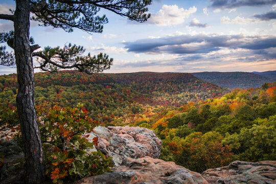 Sams Throne Arkansas