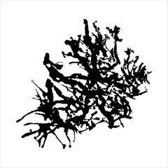 Abstract ink blots. Decorative splatter isolated on white background . Grunge brush vector