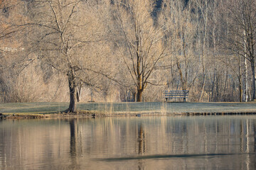A park with a bench in front of a fish pond in the autumn season at the golden hour, Italy, South Tyrol Val Venosta - Prato allo Stelvio
