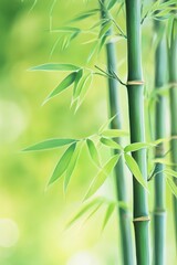 Watercolor illustration of lush bamboo forest in a serene and calming design