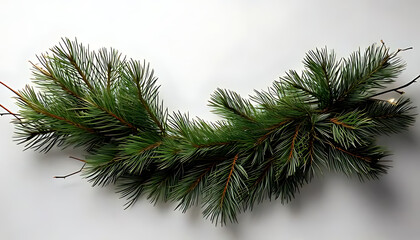 pine twigs christmas garland sit alone white surface surrounded emptiness