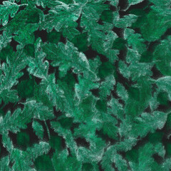  art watercolor pattern with vintage pattern of autumn leaves.  Vintage Art Background. Abstract pattern with leaves of oak and birch. Autumn forest design with branches and leaves. Vintage Wind