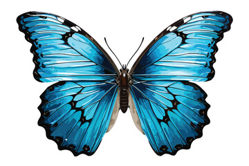 Fototapeta premium Color monarch butterfly , isolated on the white background