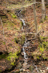 Mountain river gorge with plants and trees 