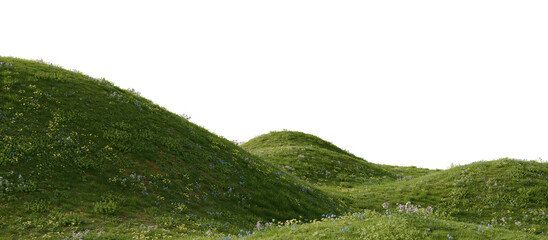 Grassy hill with flowers on a transparent background. 3D rendering.