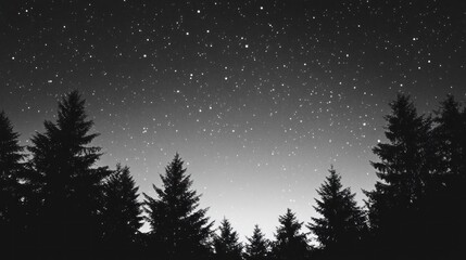 Fototapeta premium Dark silhouettes of trees against a starry night sky.