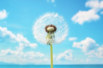 Dandelion seeds against a blue sky. Perfect for nature, spring, or growth concepts.