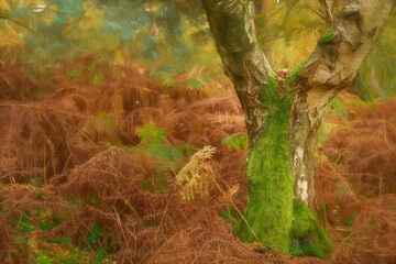 Autumn digital oil painting of woodland tree and leaf colours at Cannock Chase an area of outstanding natural beauty.