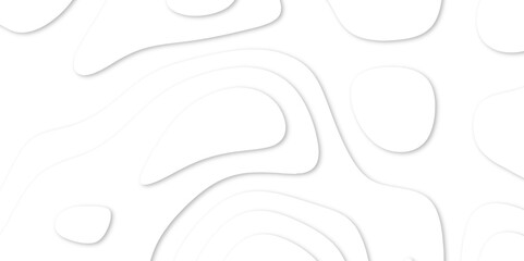 Abstract White paper cut background with lines. Topographic map in contour line light topographic topo contour map. white line drawing geometric paper art design. 3d papercut decoration textured. maps