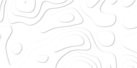 Abstract White paper cut background with lines. Topographic map in contour line light topographic topo contour map. white line drawing geometric paper art design. 3d papercut decoration textured. maps