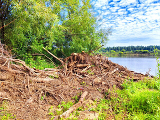 A blockage of trees after a flood in spring. Pollution of river and lake water. Rotting wood