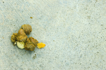 Chicken manure 2. Chicken droppings in the yard