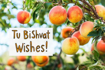 text "Tu BiShvat Wishes!" with bright trees and fruit symbols