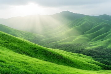 Fototapeta premium Stunning Sunrise Illuminates Misty Mountains and Lush Valleys With Golden Light