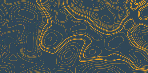 Abstract Topographic Contour Line Pattern, geographic contour map paper texture. terrain path isolated on a white background retro topographic map. vector ill