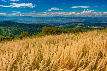 Jesienny widok na Kotlinę Sądecką.
