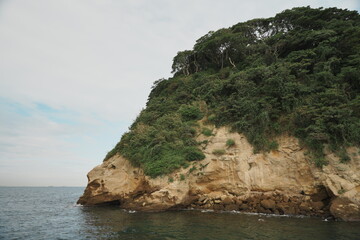 桟橋から見る猿島の奇岩