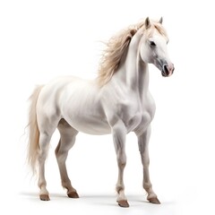 concept painting design object on white background