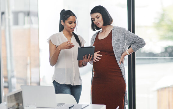 Business people, pregnant and tablet with meeting, website and digital planning in office. Collaboration, teamwork and handover for maternity leave with social media management and post update