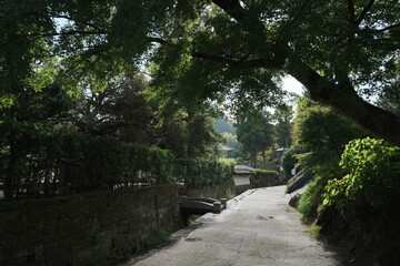 北鎌倉の自然豊かな通り