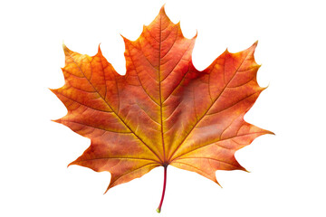 Obraz premium autumn maple leaf on transparent background, generative Ai