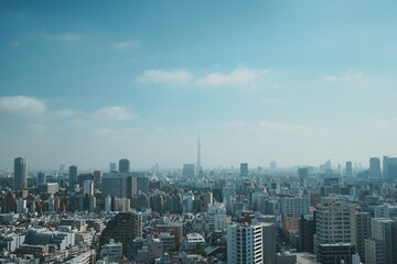 文京区から見たスカイツリーと東京の景色