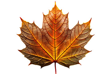 Obraz premium autumn maple leaf transparent background, generative Ai