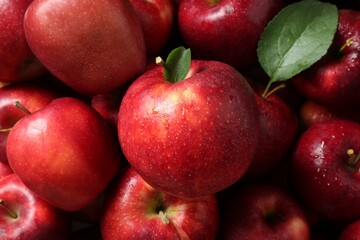 Fresh ripe red apples and green leaves as background, closeup