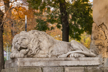 Fototapeta premium Sculpture of sleeping lion in Lviv