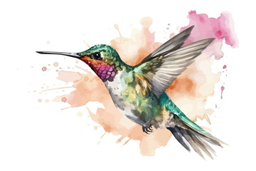 Watercolor hummingbird. Background with bird.