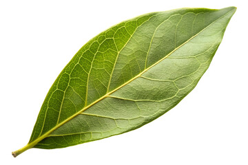 Obraz premium green leaf isolated on transparent background, generative Ai