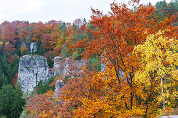 Colorful autumn Landscape in Bohemian Paradise, Czech Republic 