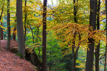 Colorful autumn Landscape in Bohemian Paradise, Czech Republic 
