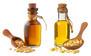 
Glass bottle of pine nut oil with a wooden spoon and nuts isolated on white or transparent background, cutout PNG