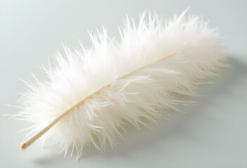 Fluffy white feather resting on a soft gray surface, highlighting its elegant texture, with copy space