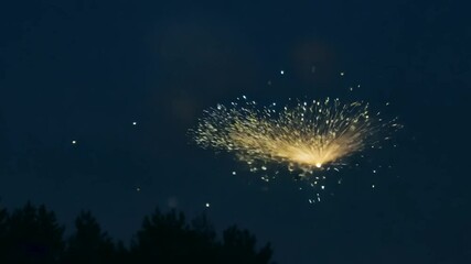 Night Looping Swarm Fireflies Isolated firefly insect no people texture particle dust star dot locust bug animation black background nature wildlife glowing energy flying buzzing pest swamp bayou loo