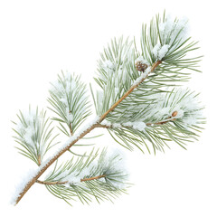 Obraz premium christmas