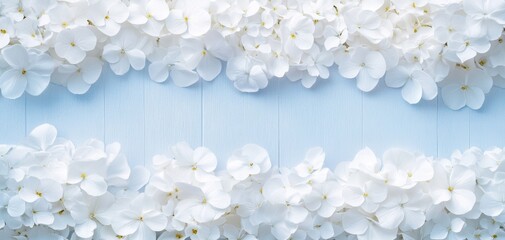 Beautiful arrangement of delicate white flowers against a soft blue background, creating a serene and fresh atmosphere for floral designs.