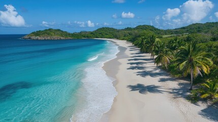 Stunning white sand beach with coconut palms, turquoise water, and clear skies, perfect for a tropical paradise backdrop.