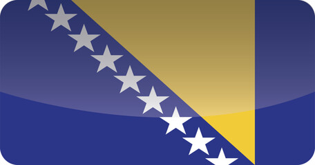 National flag of Bosnia.Vector illustration
