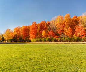 magnificent, beautiful view of autumn colorful forest,landscape on sunny gorgeous day, people in background 