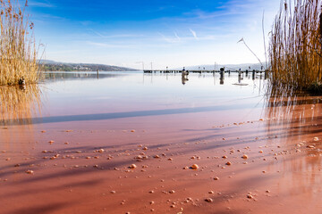 Obraz premium Lake with bubbling red water at the shore. This is caused due to the red algae, for some time of the year. In the background blue skies and the alps in the mist.
