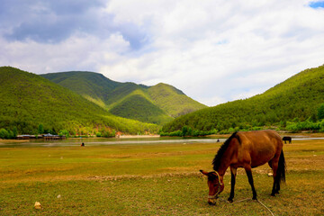 Obraz premium Scenic Reservoir Surrounded by Mountains with Horse Grazing on Lush Grassland 