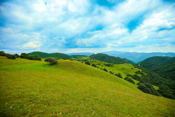 Fototapeta premium Serene Mountain Meadow with Distant Wind Turbines under Blue Sky 