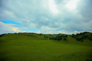 Serene Mountain Meadow with Distant Wind Turbines under Blue Sky

