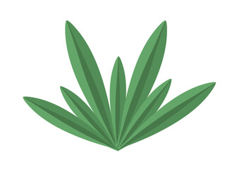 Ilustração folha, planta, verde, isolado, natureza, branco, deixar, flor, fresco, galho, árvore, erva, macro, flora, herbário, alimento, natural, botânica, azeitona, close up, chá, aloe, primavera, cl
