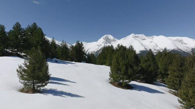 Drone rises above snowy Aramiyska Meadow in Pirin Mountains overviewing Vihren and Kutelo peaks far in the distance.